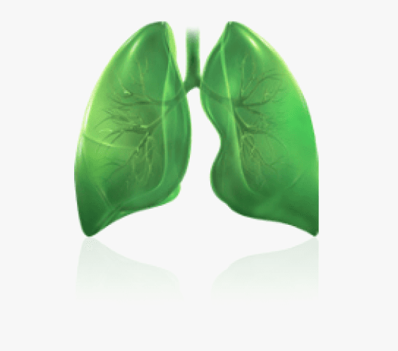 NSCLC (non-small cell lung carcinoma) icon