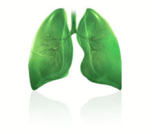 Non-Small Cell Lung Carcinoma